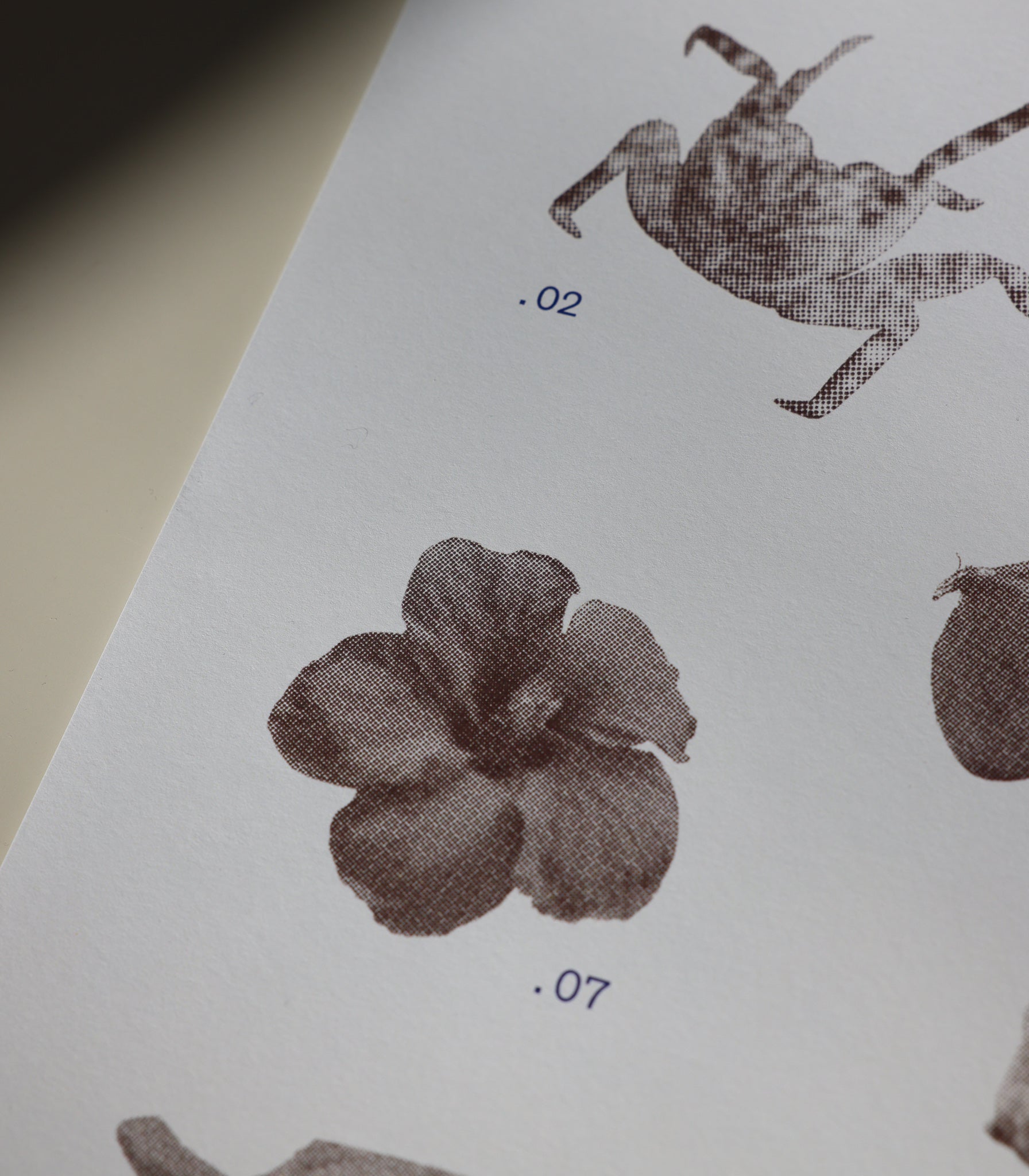 Affiche | Essentiels du Navigateur - OTHERSEA