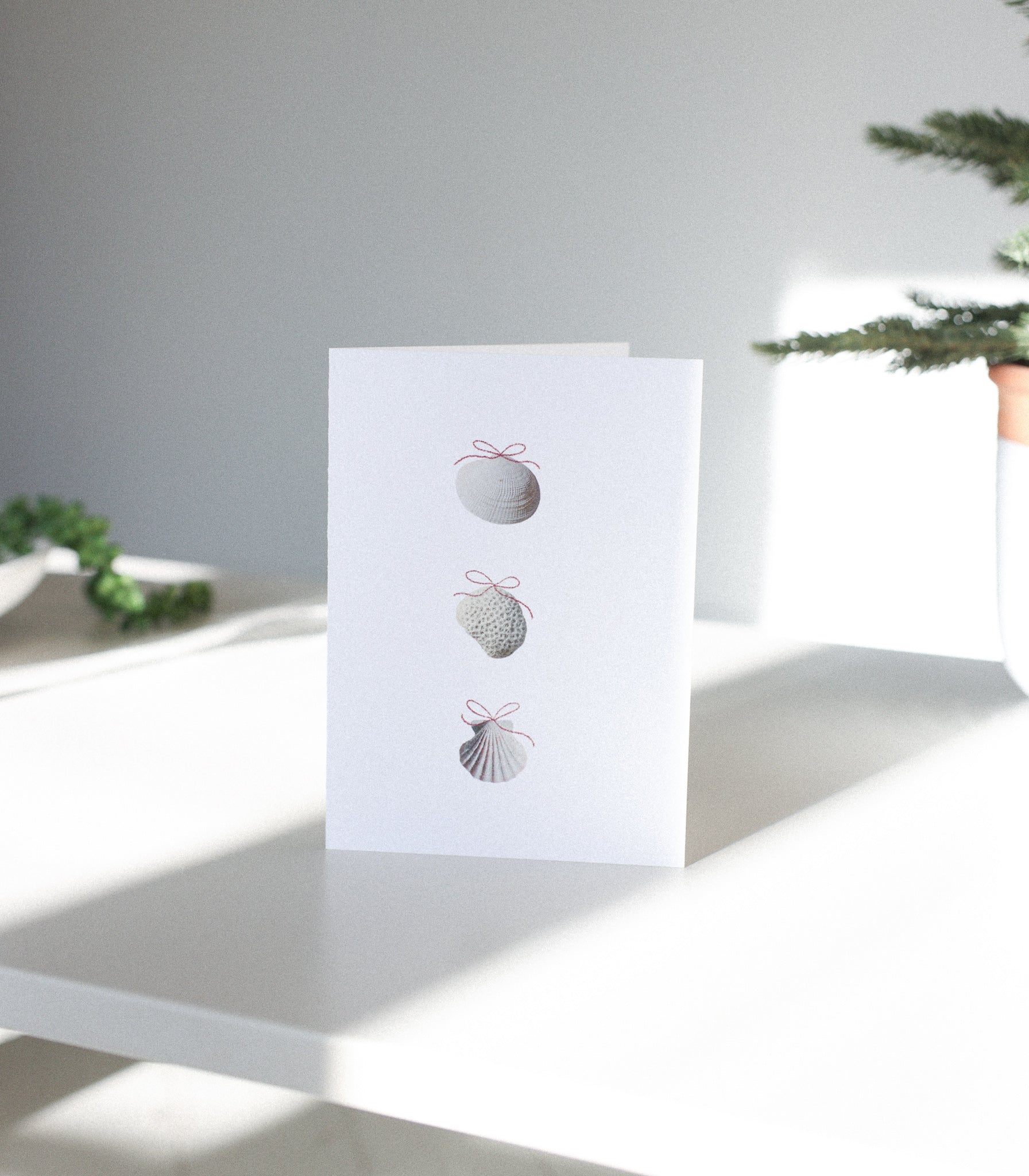 Carte de Souhaits | Shell Ornaments - OTHERSEA