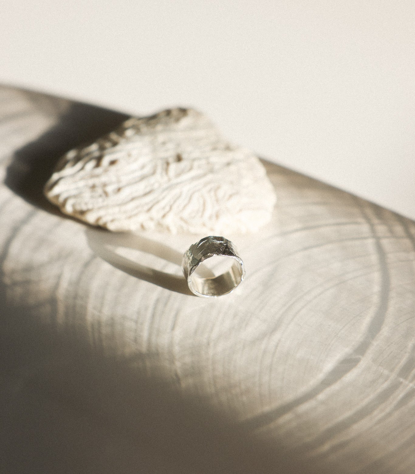 Erosion Ring - Large