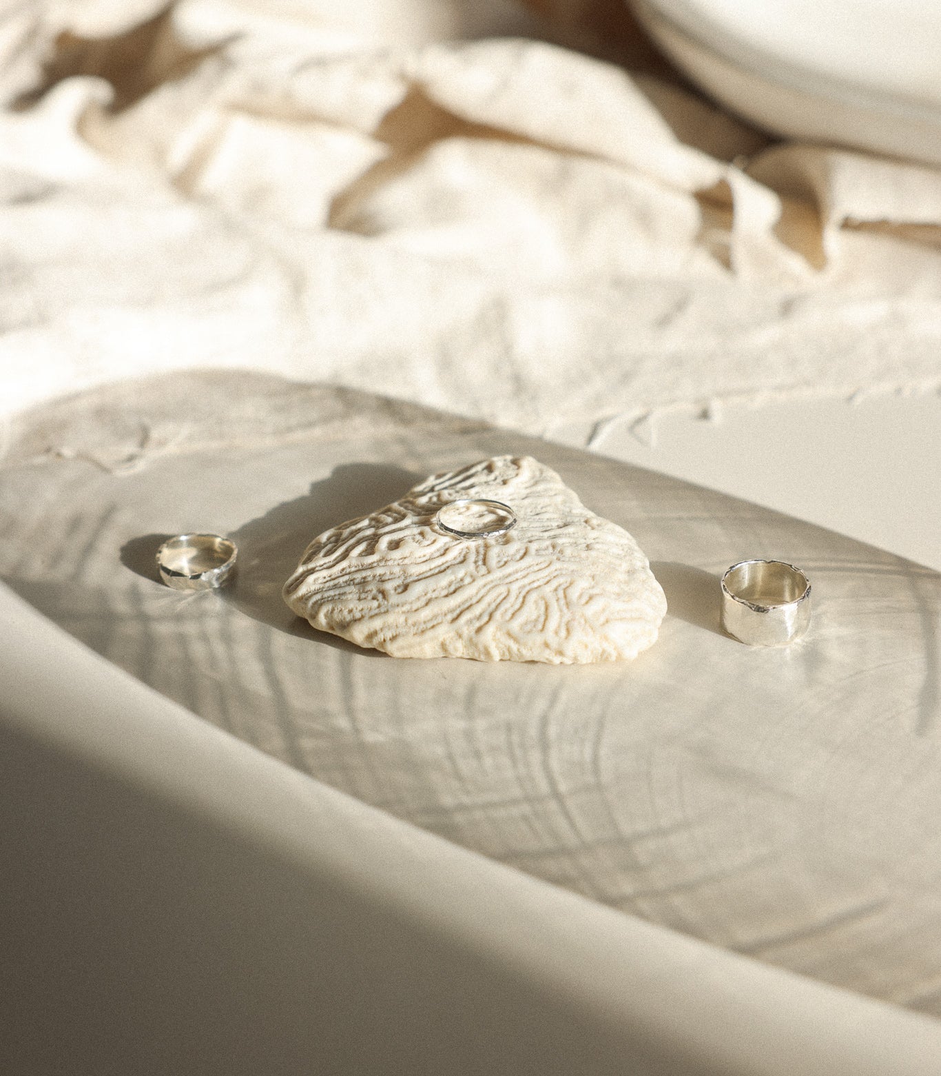 Erosion Ring - Small