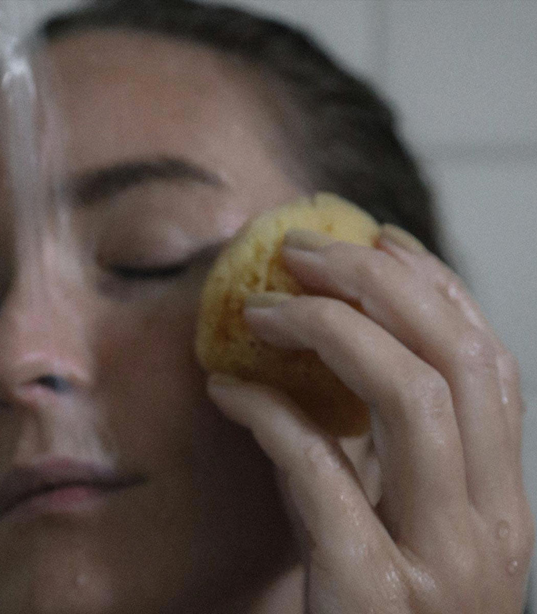 Éponge de mer | WELL KEPT