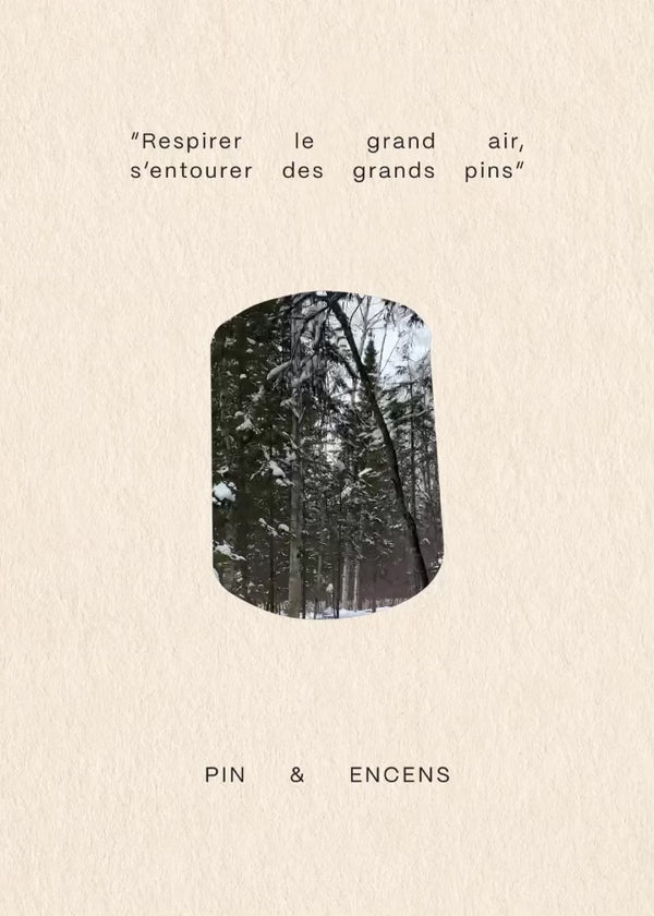 Bougie de soya | Pins & encens - «RESPIRER LE GRAND AIR»