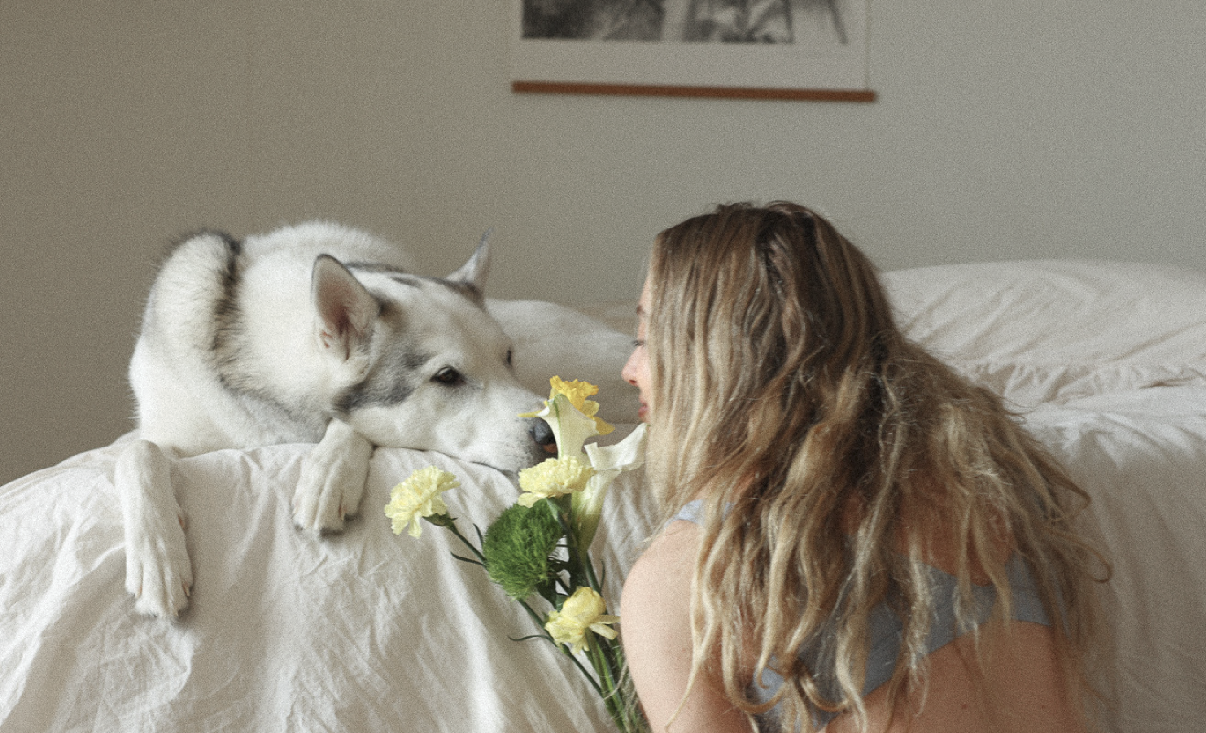Incontournables pour la St-Valentin