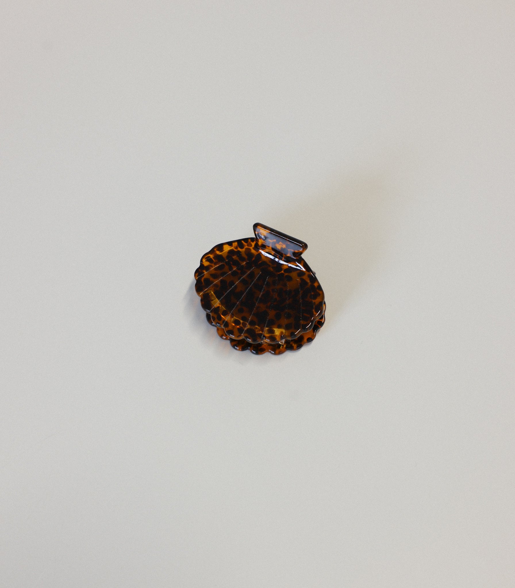 Pince | Sea Shell - La Mojo Jewelry