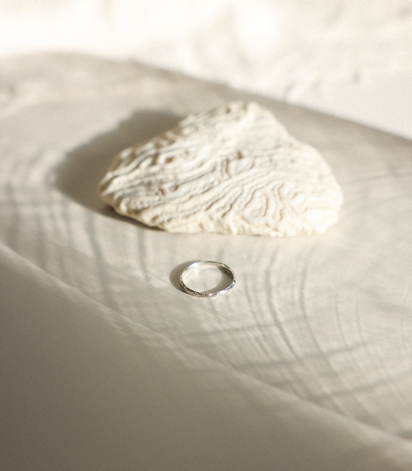 Erosion Ring - Small