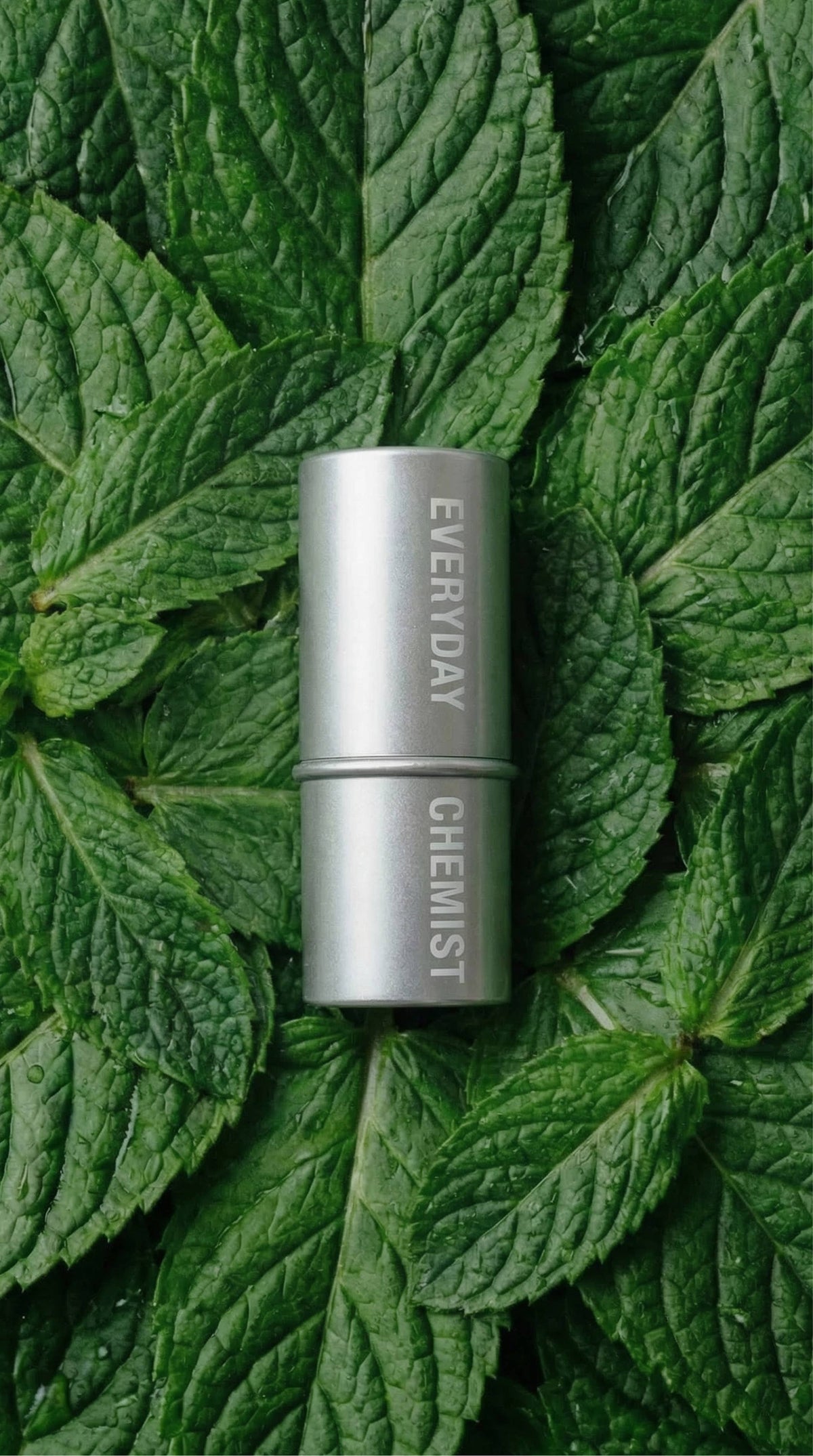 Lip Grease Stick | Fresca - Peppermint