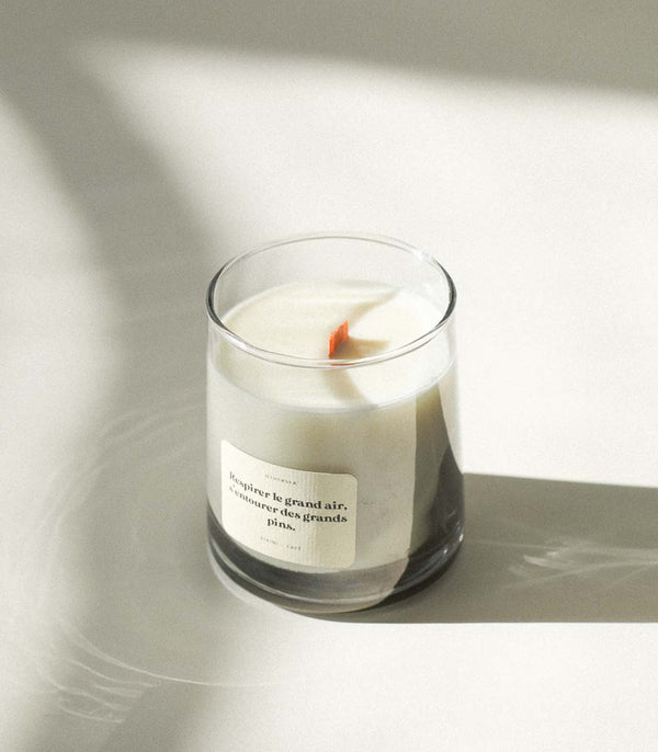 RESPIRER LE GRAND AIR - Soy candle "Pine & incense"