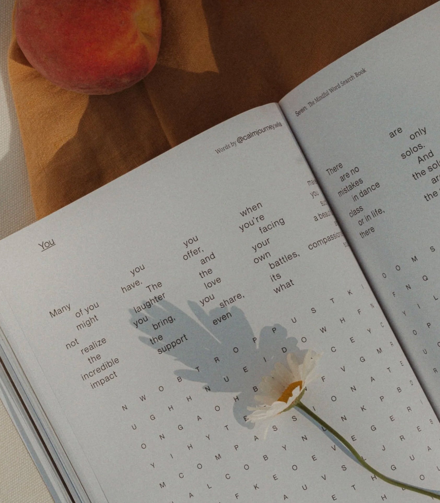 Mots cachés - The Mindful Word