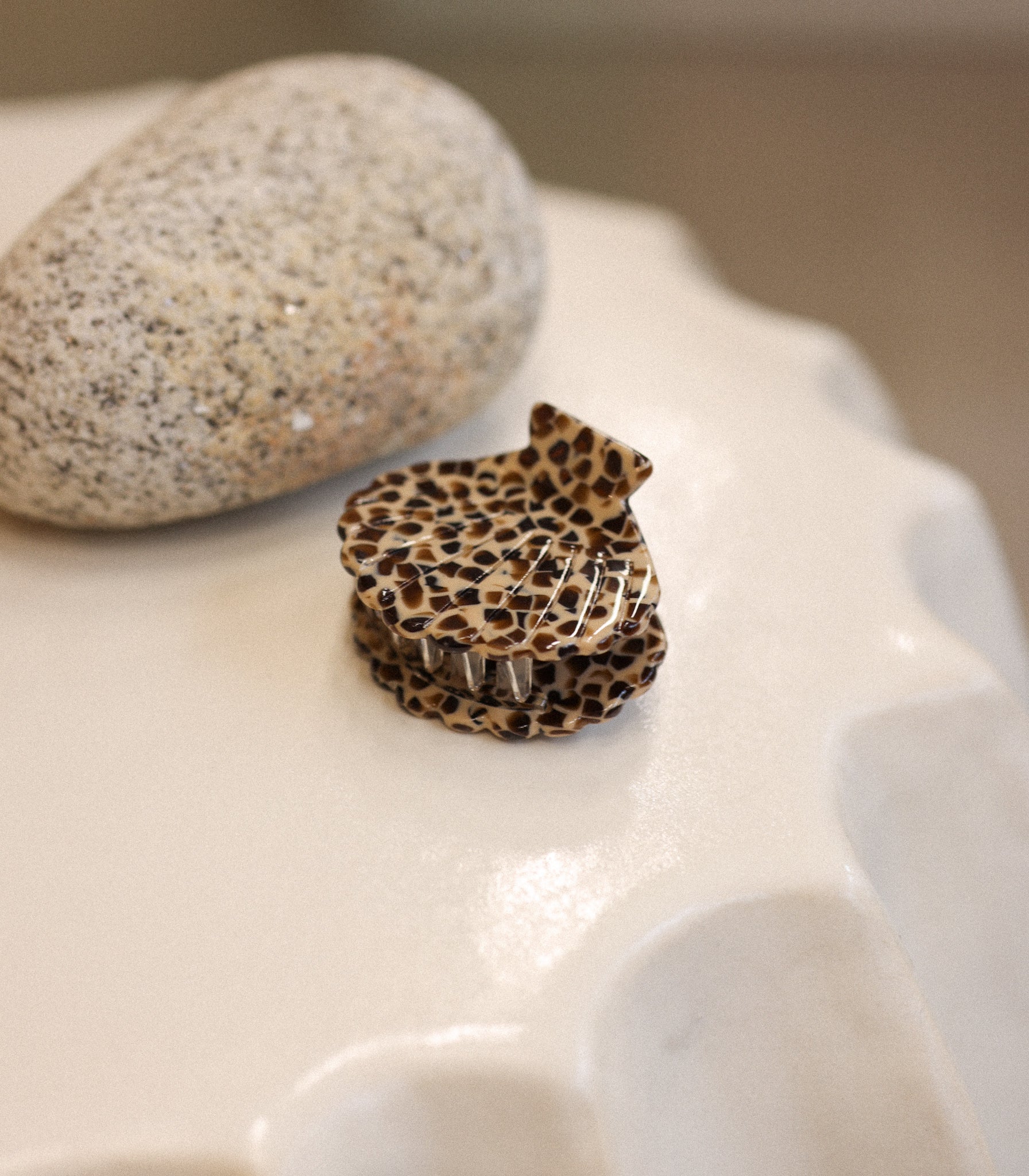 Pince | Sea Shell - La Mojo Jewelry