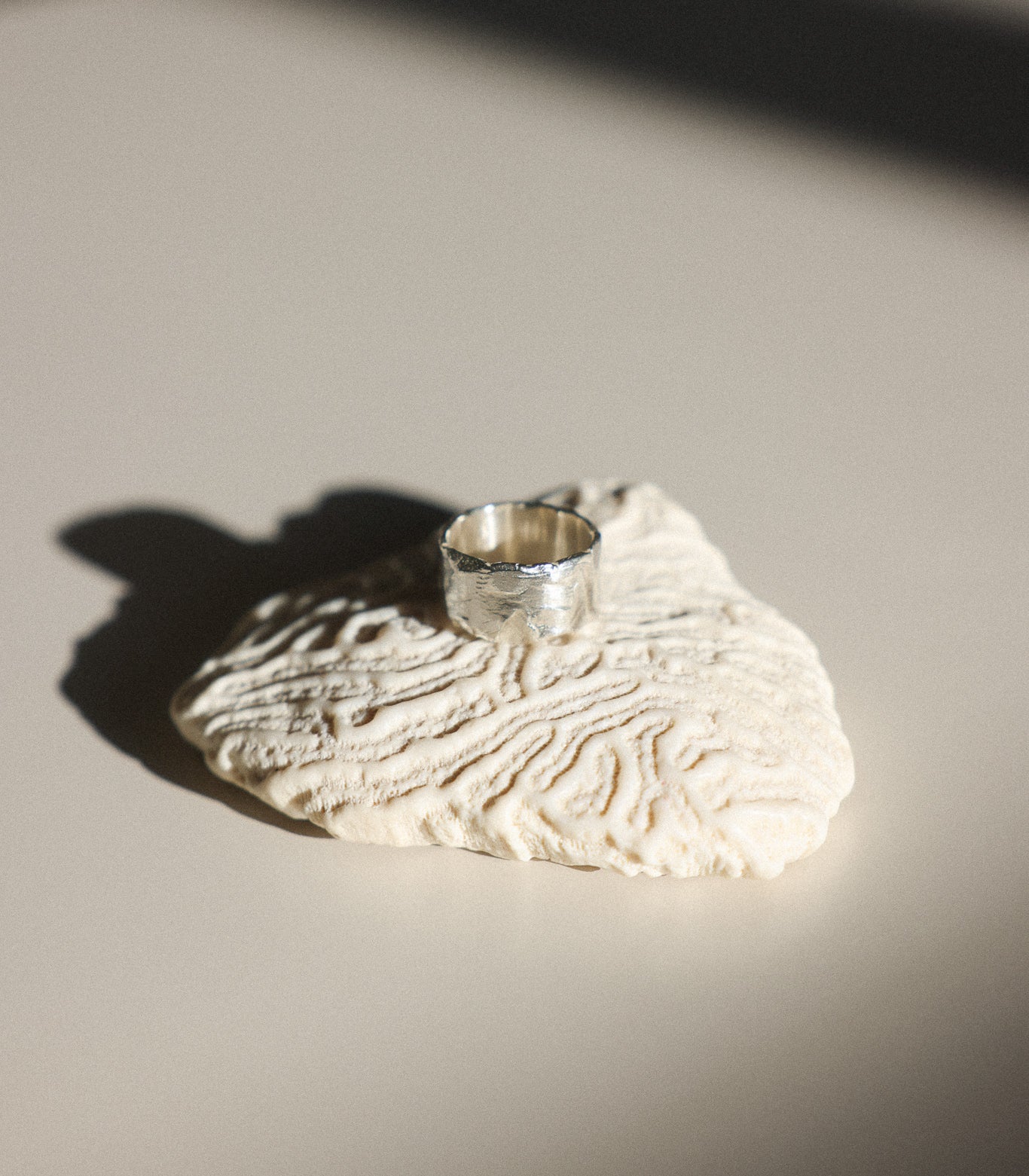 Erosion Ring - Large