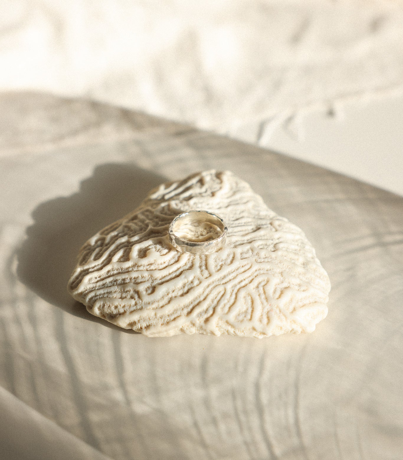 Erosion Ring - Medium