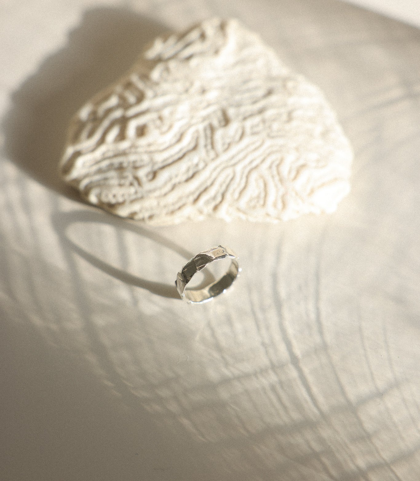 Erosion Ring - Medium