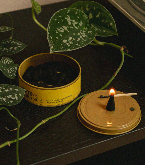 Guaiacwood & bergamot incense cones - Libertine Fragrance