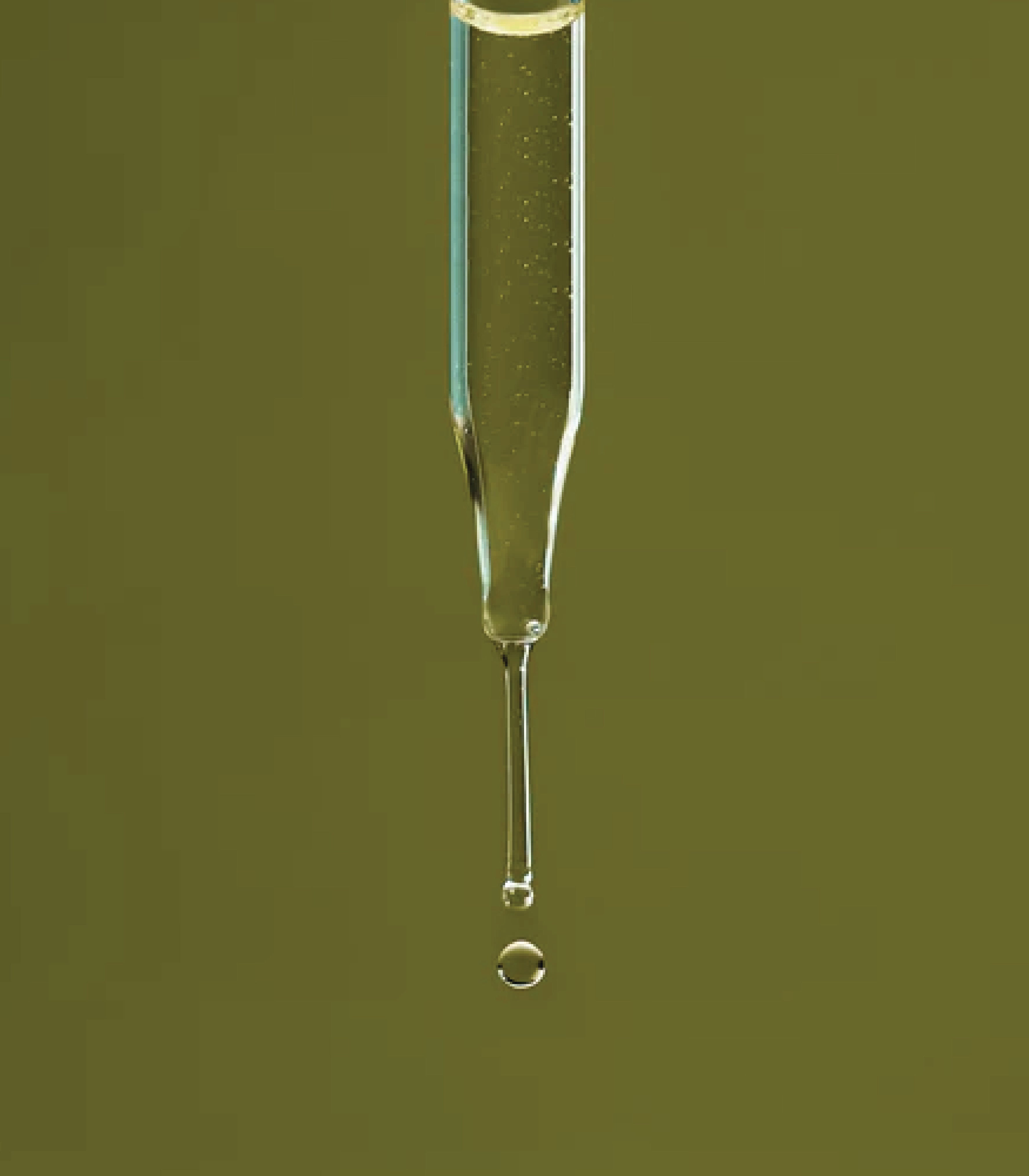 Sérum | Équilibrant